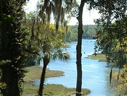 Rainbow River Overlook