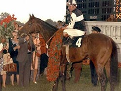 Foolish Pleasure Kentucky Derby Winner