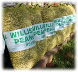 Williston Peanut Festival